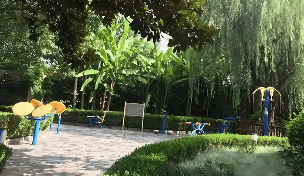深圳应届生落户政策_58岁徐帆与冯小刚离婚？徐帆回应了 南郑在河州花园路与纬