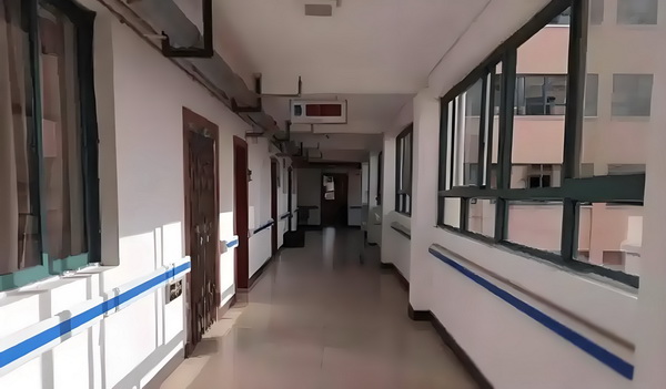 本科生落户深圳咨询电话_揽佬：我就是个打工人，不是什么艺术家 入欧年加洲委后员会